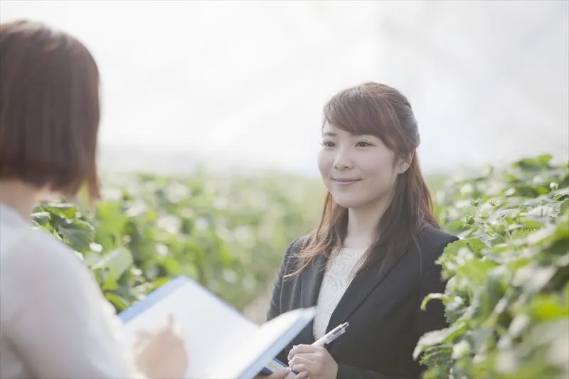 株式会社Avancesのサポート内容について