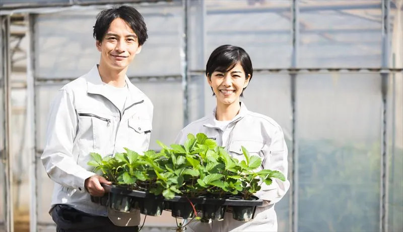 品種改良と遺伝子組み換えの違いは？